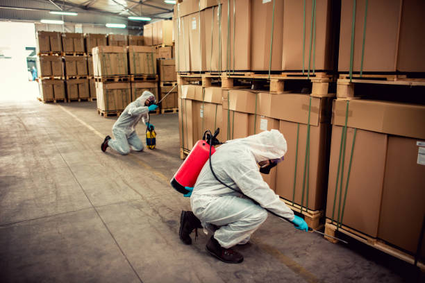 Best Bed Bug Extermination  in Park View, IA