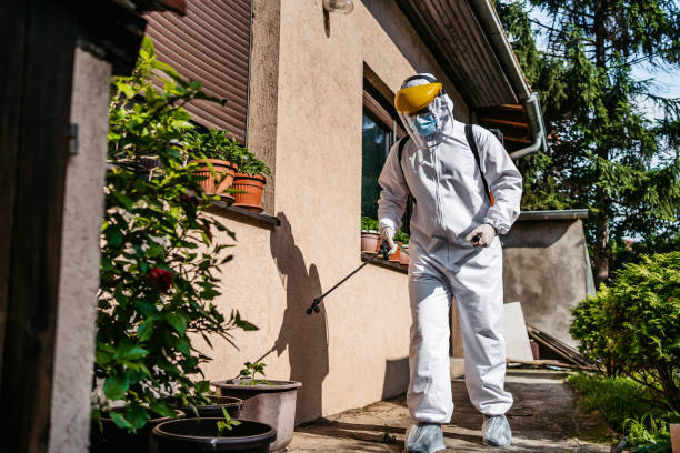Best Pest Prevention Services  in Park View, IA