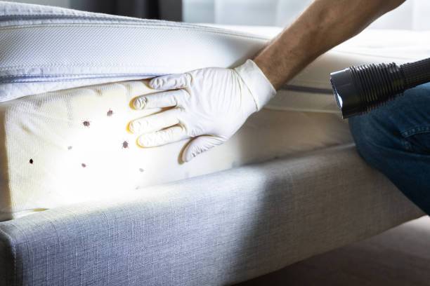 Best Pest Inspection Near Me  in Park View, IA