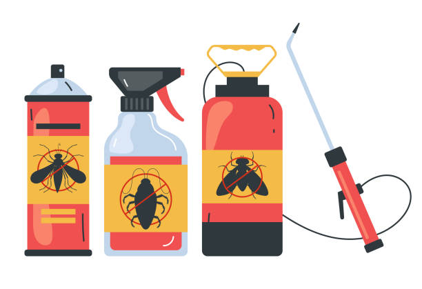 Best Wasp Removal Services  in Park View, IA