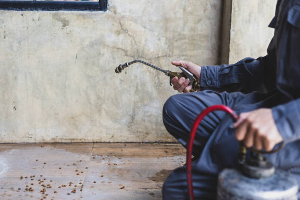 Best Wasp Removal Services  in Park View, IA